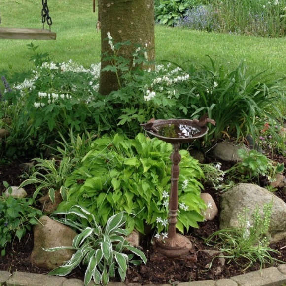 Meet your Posher, Linda - Picture 1 of 1